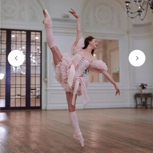 Selkie En Pointe Paris Skirt – Blush Organza Tutu